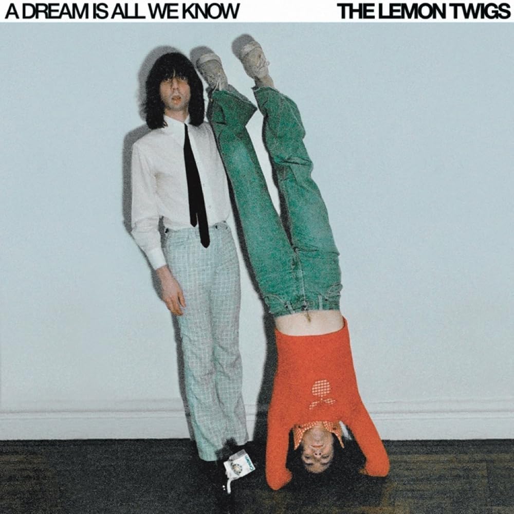 Copertina Vinile 33 giri A Dream Is All We Know di The Lemon Twigs