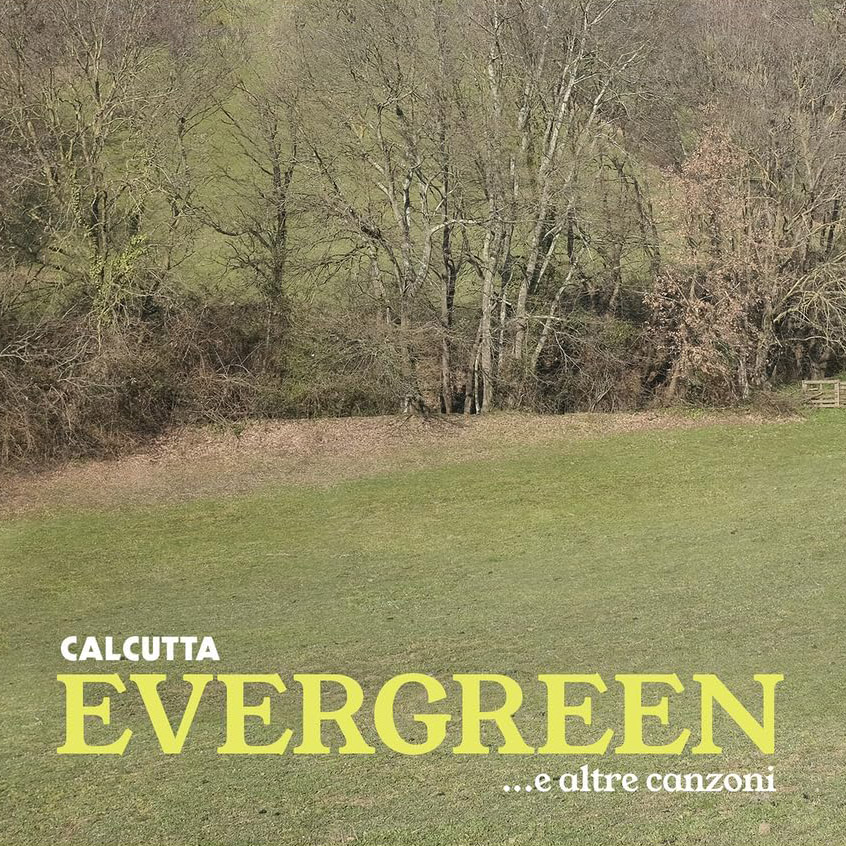 Copertina Vinile 33 giri Evergreen e altre canzoni di Calcutta