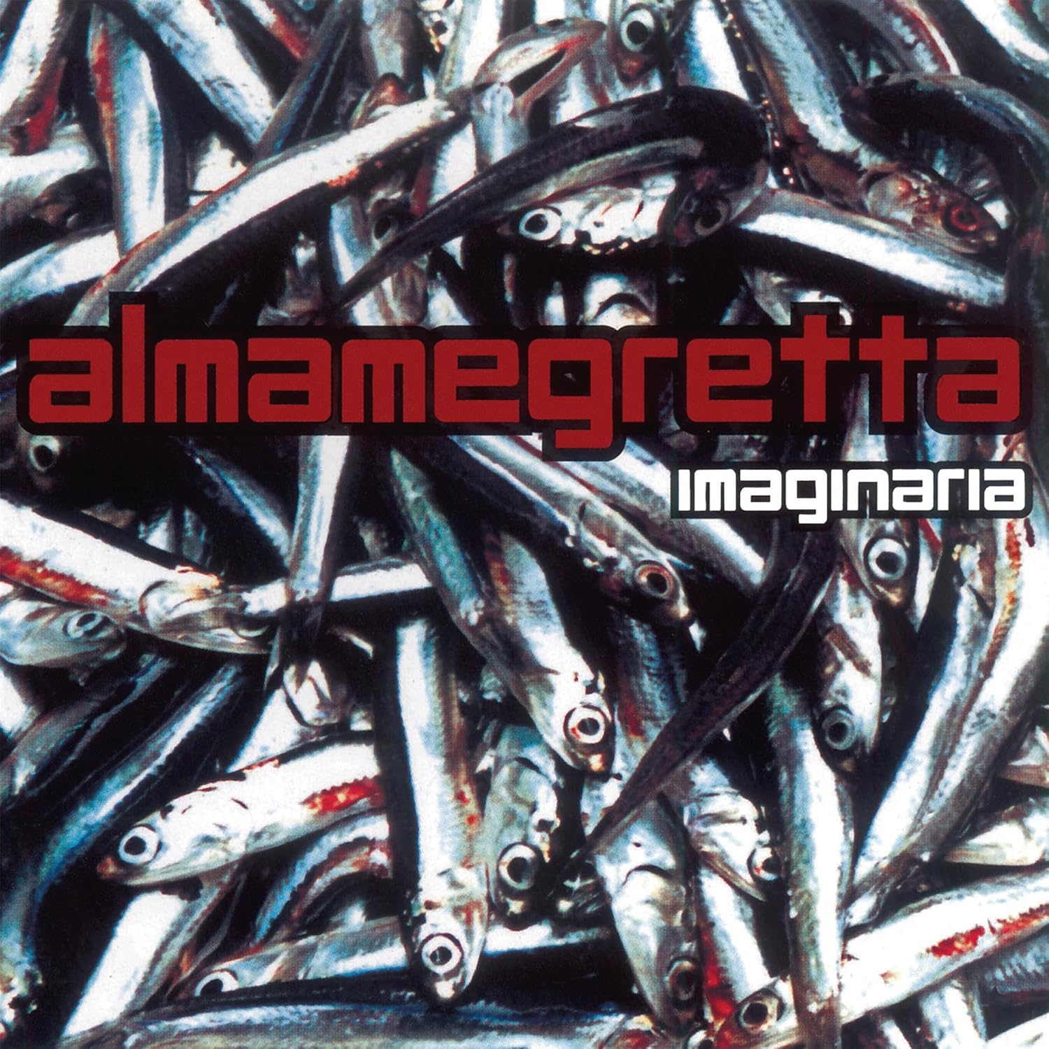 Copertina Vinile 33 giri Imaginaria di Almamegretta