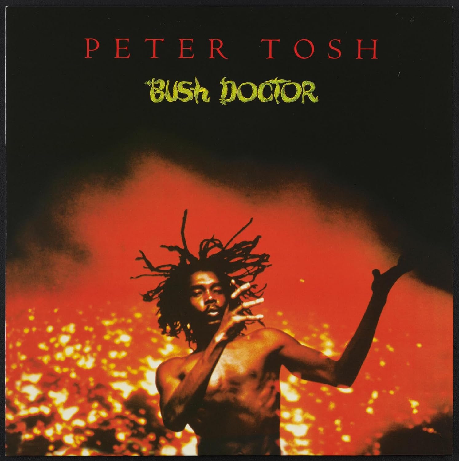 Copertina Vinile 33 giri Bush Doctor di Peter Tosh