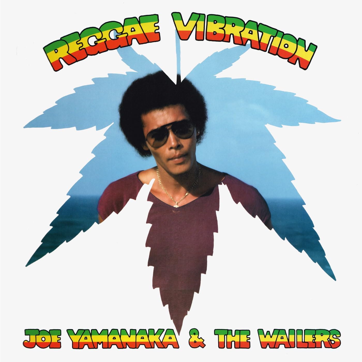 Copertina Vinile 33 giri Reggae Vibration di Joe Yamanaka & The Wailers