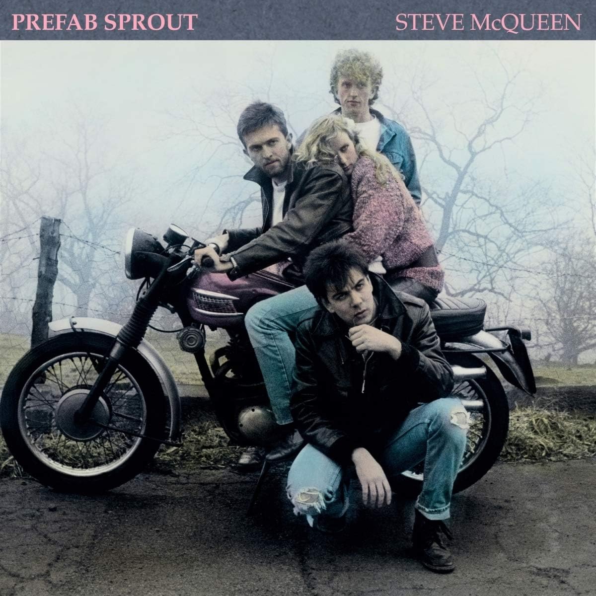 Copertina Vinile 33 giri Steve McQueen di Prefab Sprout