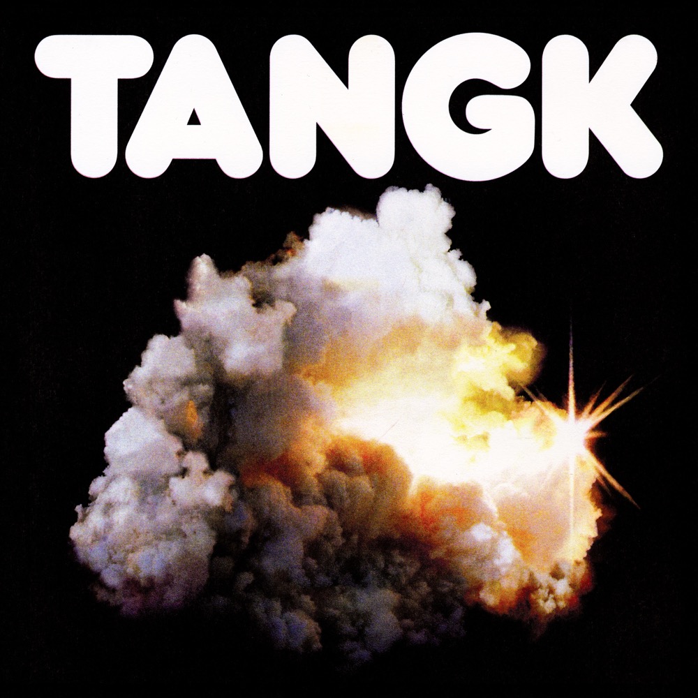 Copertina Vinile 33 giri Tangk di Idles