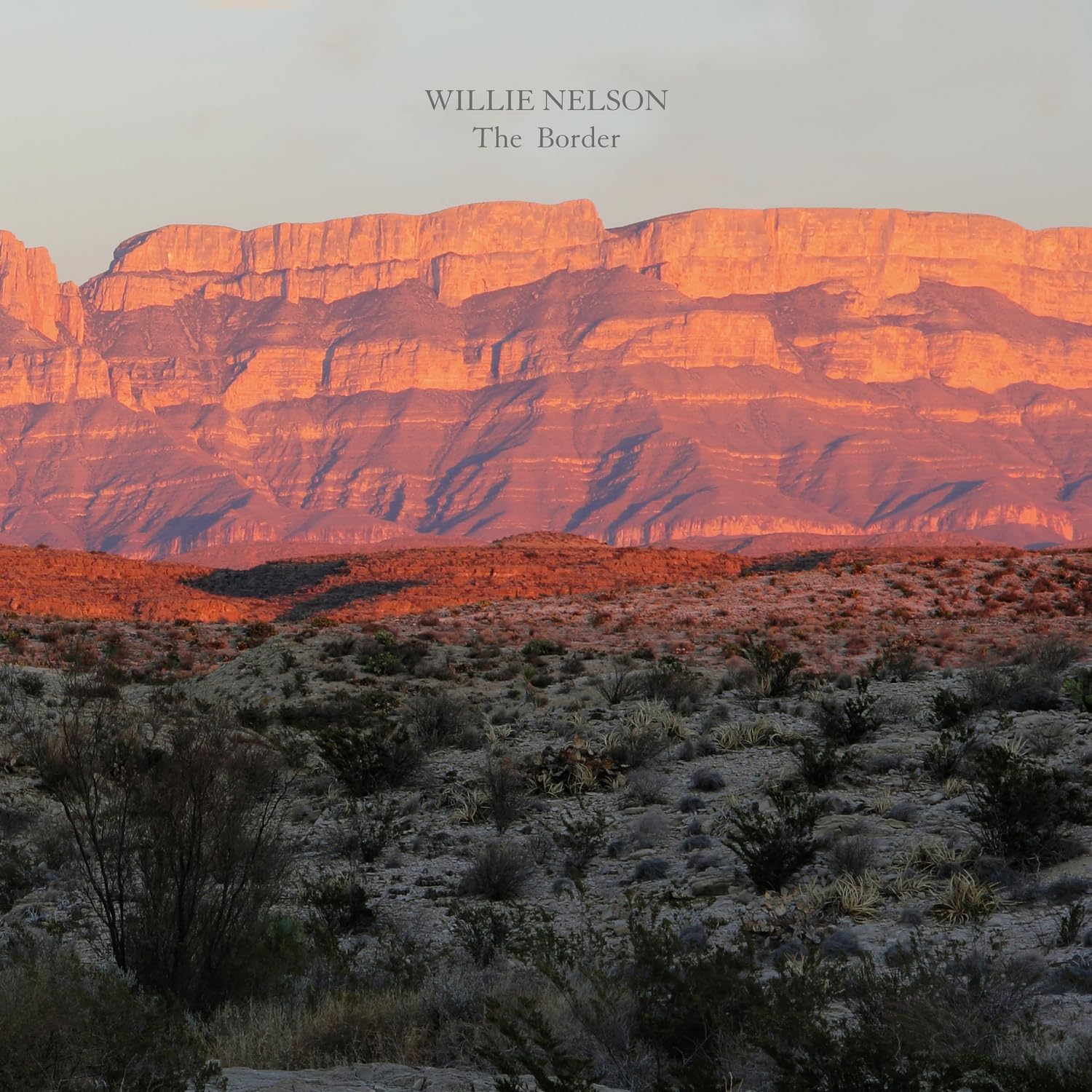 Copertina Vinile 33 giri The Border di Willie Nelson