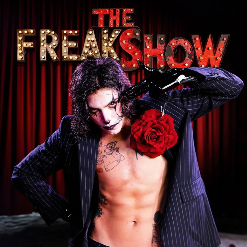 Copertina Vinile 33 giri The Freak Show di Naska