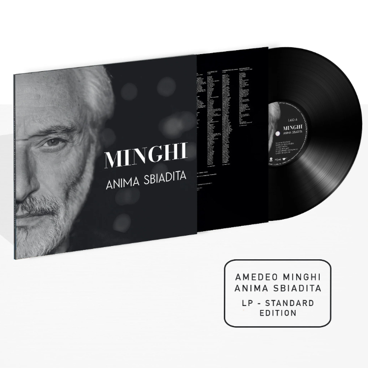 Copertina Vinile 33 giri Anima Sbiadita di Amedeo Minghi