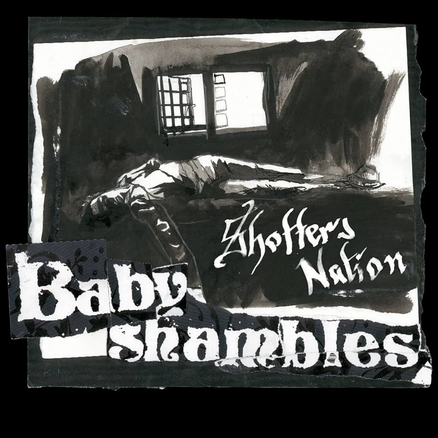 Copertina Vinile 33 giri Shotter's Nation di Babyshambles